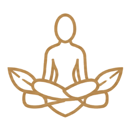 About BodyGuru
